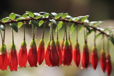 佛山高明区6私人快速借钱网，轻松解决资金难题