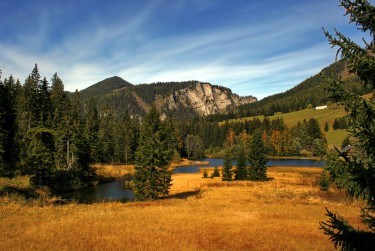 佛山高明区6民间私贷攻略：揭秘低成本借贷的秘密