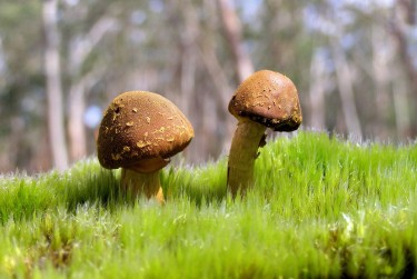 佛山高明区6私人老板放款：轻松融资的秘密通道